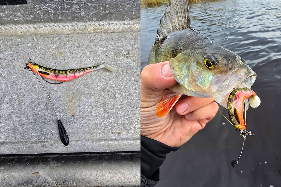 Shadteez Slim Bling Perch