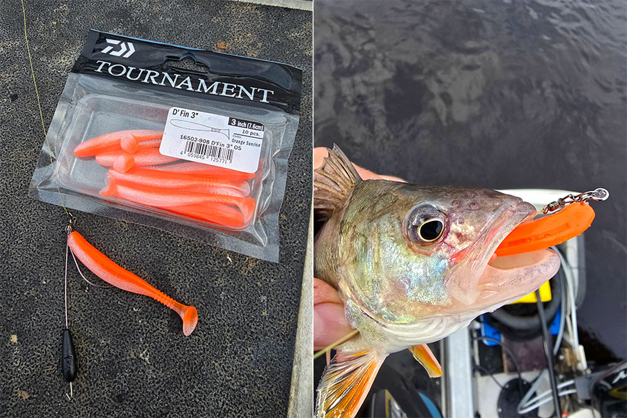 Tournament D'Fin